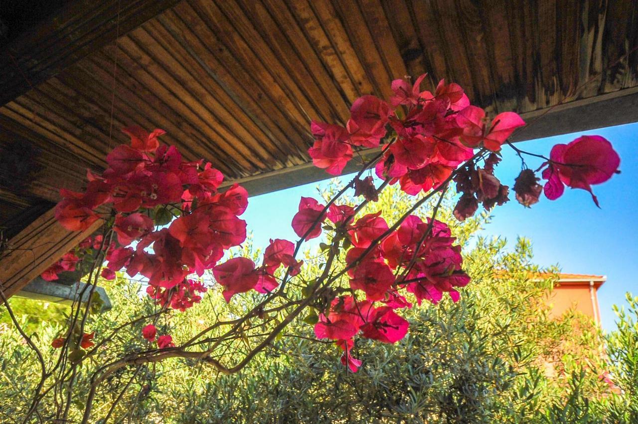 Villa Flamingo Dobra Voda Exteriér fotografie